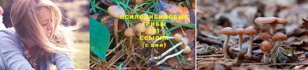 каннабис Осташков