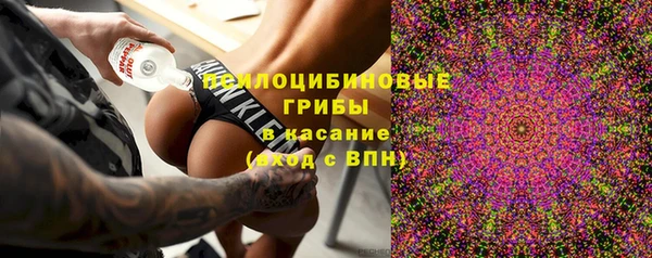 a pvp Осинники