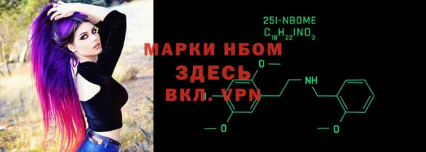 PSILOCYBIN Няндома