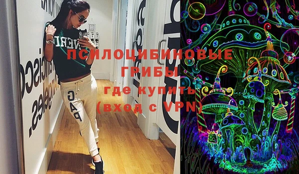 PSILOCYBIN Няндома