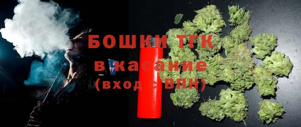 PSILOCYBIN Няндома