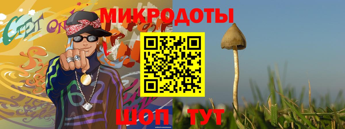 Кумертау  Псилоцибиновые грибы MAGIC MUSHROOMS  Вход с VPN  Псилоцибиновые грибы мицелий 
